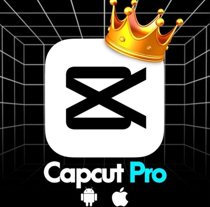 CAPCUT PRO PRIVATE 1 Month - Image 2